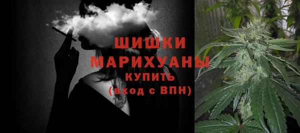 трава Бородино