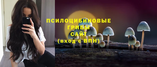 первитин Новодвинск