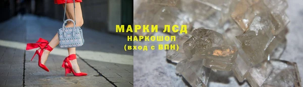 трава Бородино