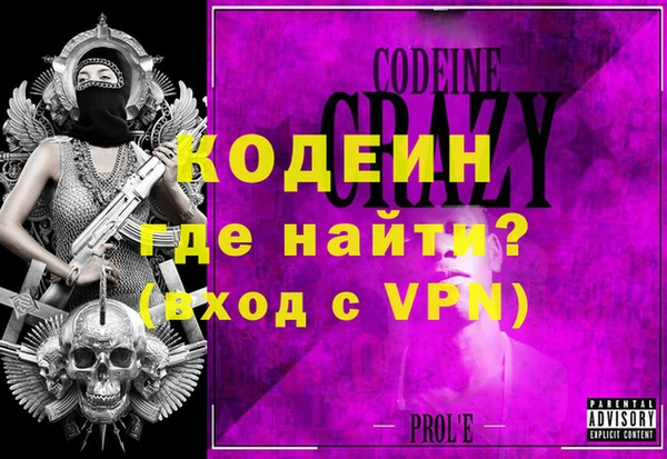 сатива Новозыбков